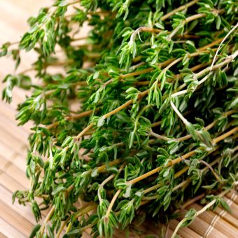 Thyme- 1xBox02